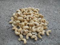 Ledvinovník západní (Anacardium occidentale)